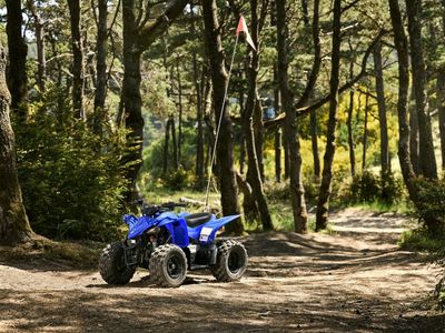 2026 Yamaha YFZ50 - Photo 10