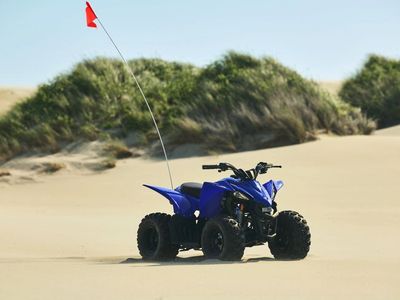 2026 Yamaha YFZ50 - Photo 9