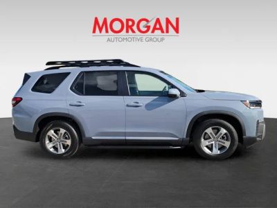 2026 Honda Pilot — photo 8 view