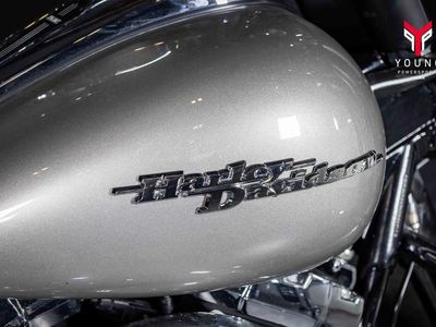 2009 Harley-Davidson FLHX - Street Glide - Photo 20