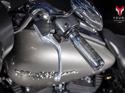 2009 Harley-Davidson FLHX - Street Glide - Photo 3