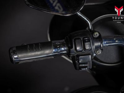 2009 Harley-Davidson FLHX - Street Glide - Photo 23