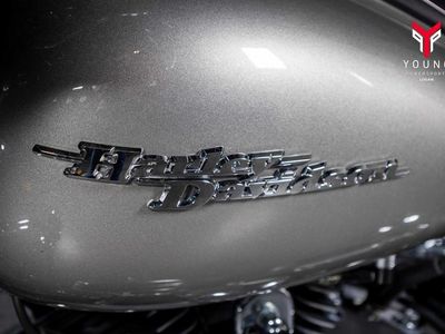 2009 Harley-Davidson FLHX - Street Glide - Photo 2