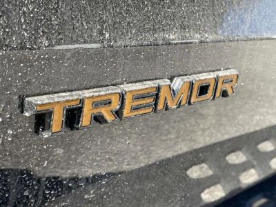 2026 Ford Expedition - Photo 22
