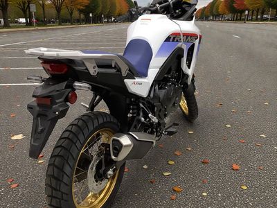 2025 Honda Transalp - Photo 8