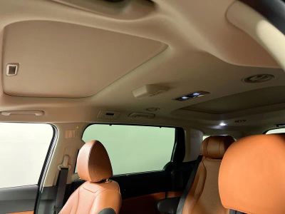 2026 Kia Carnival Hybrid — photo 21 view