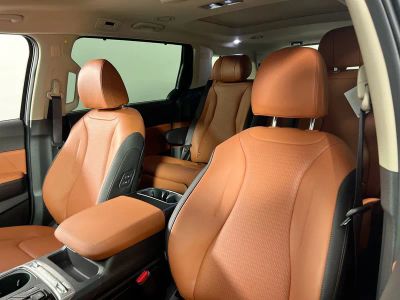 2026 Kia Carnival Hybrid — photo 14 view