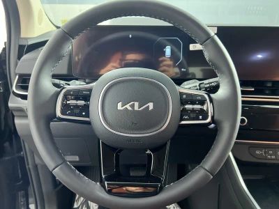 2026 Kia Carnival Hybrid — photo 17 view