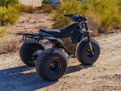 2026 MINI RCR T3 - Photo 4