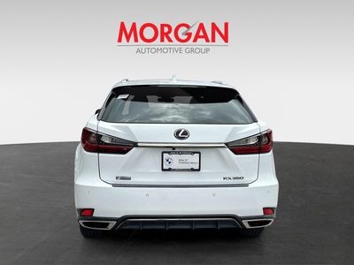 2020 Lexus RX - Photo 6