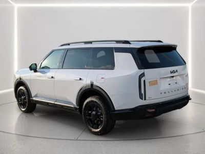 2027 Kia Telluride — detail view