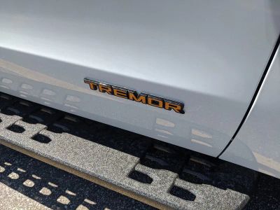 2026 Ford Expedition — photo 10 view