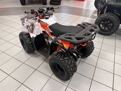2025 Kayo Bull 125 EFI - Photo 3