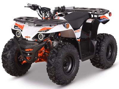 2025 Kayo Bull 125 EFI - Photo 14