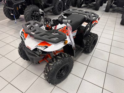 2025 Kayo Bull 125 EFI - Photo 2