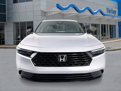 2026 Honda Accord Hybrid — photo 8 view