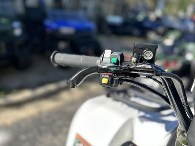 2025 Kawasaki Brute Force 450 4x4 - Photo 10