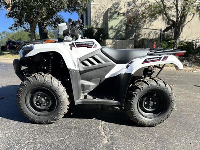 2025 Kawasaki Brute Force 450 4x4 - Photo 6
