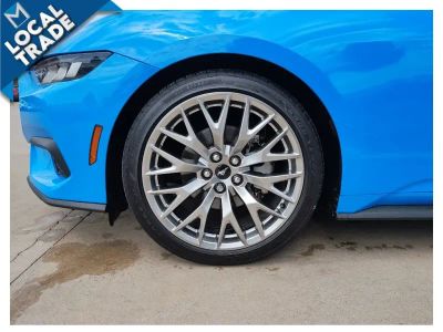 2024 Ford Mustang - Photo 11