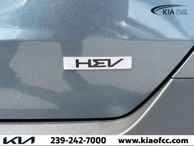 2026 Kia Carnival Hybrid — photo 11 view