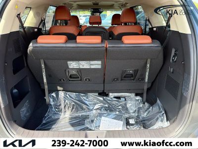2026 Kia Carnival Hybrid — photo 12 view