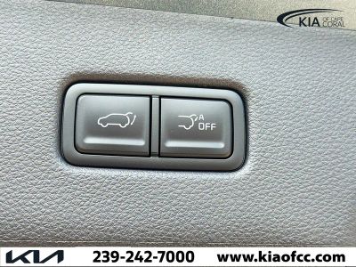 2026 Kia Carnival Hybrid — photo 13 view