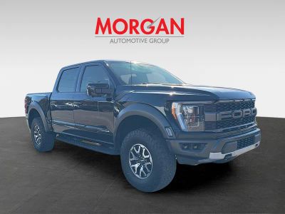 2022 Ford F-150 — side profile view