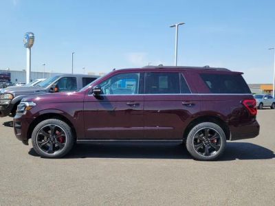 2023 Ford Expedition — side profile view