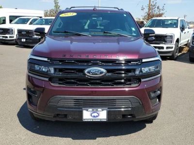 2023 Ford Expedition — detail view