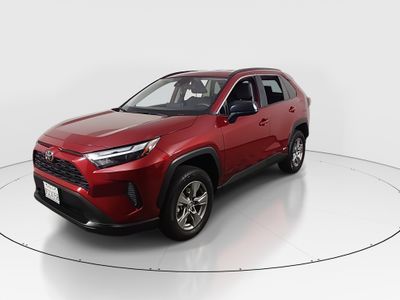 2025 Toyota RAV4 - Photo 3