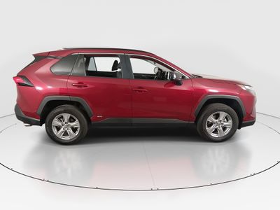 2025 Toyota RAV4 - Photo 8
