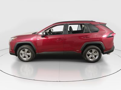2025 Toyota RAV4 - Photo 4