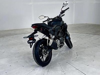 2025 Honda CB300R - Photo 5