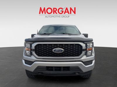 2023 Ford F-150 — photo 7 view