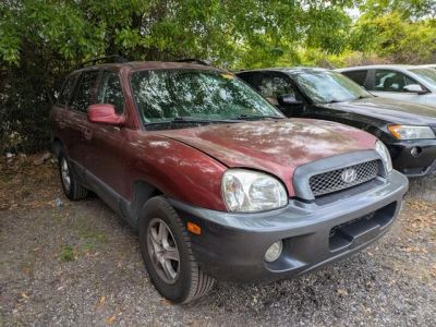 2003 Hyundai Santa Fe — side profile view