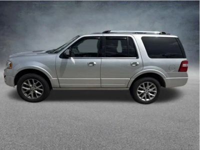 2016 Ford Expedition — detail view