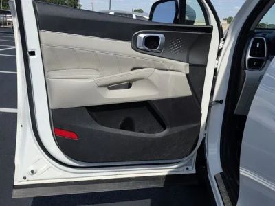 2022 Kia Sorento Plug-In Hybrid — photo 15 view
