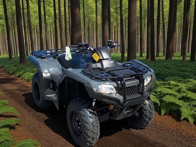 2026 Honda FourTrax Rancher 4x4 Automatic DCT EPS - Photo 4