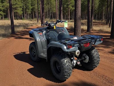 2026 Honda FourTrax Rancher 4x4 Automatic DCT EPS - Photo 11