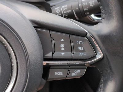 2017 Mazda CX-9 — photo 27 view