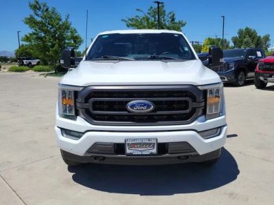 2023 Ford F-150 — detail view
