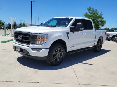 2023 Ford F-150 — interior view