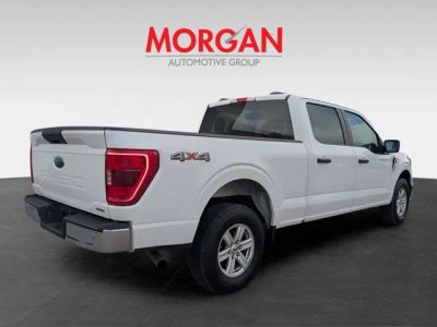 2023 Ford F-150 — rear three-quarter view