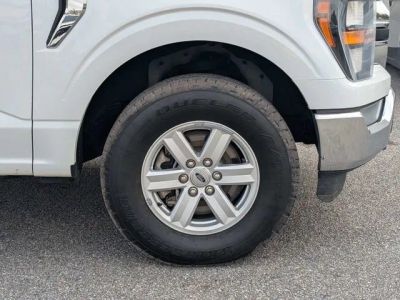 2023 Ford F-150 — photo 11 view