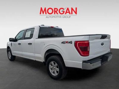 2023 Ford F-150 — detail view
