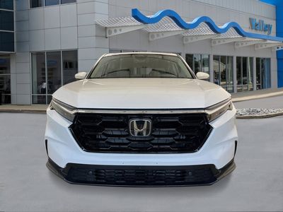 2026 Honda CR-V — photo 8 view