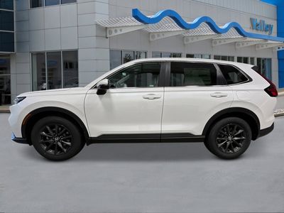 2026 Honda CR-V — side profile view
