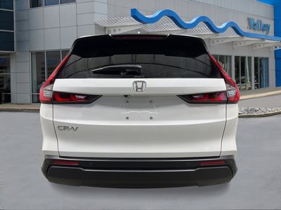 2026 Honda CR-V — interior view