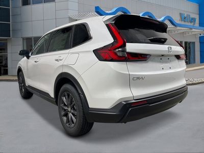 2026 Honda CR-V — rear three-quarter view