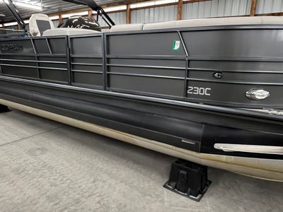 2018 COACH 230 C (245 CRC 2.0) GRAPHITE - Photo 3